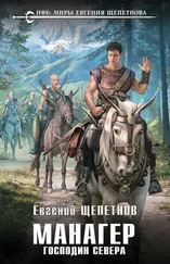 Евгений Щепетнов - Господин Севера [litres]