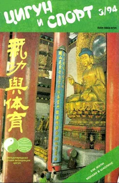 Неизвестный Автор «Цигун и жизнь» («Цигун и спорт»)-03 (1994) обложка книги