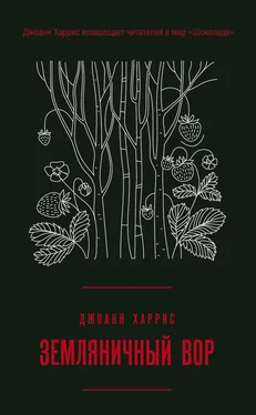 Джоанн Харрис Земляничный вор [litres] обложка книги