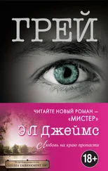 Эрика Джеймс - Грей. Кристиан Грей о пятидесяти оттенках