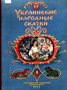 Народные сказки Украинские народные сказки обложка книги