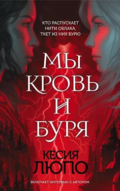 Кесия Люпо Мы – кровь и буря [litres] обложка книги