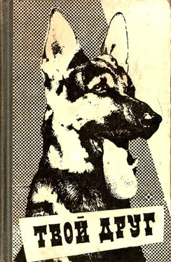 Юрий Гейко Твой друг. Сборник по собаководству. Выпуск 3 обложка книги