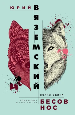 Юрий Вяземский Бесов нос. Волки Одина [litres] обложка книги