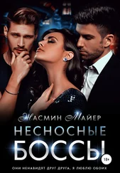 Жасмин Майер - Несносные боссы [publisher - SelfPub]