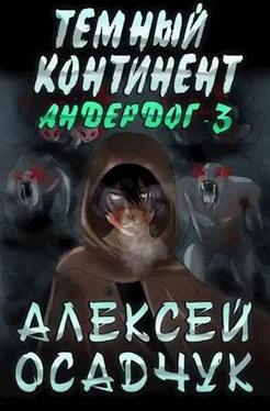 Алексей Осадчук Тёмный континент [СИ, черновик] обложка книги