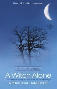 Marian Green A Witch Alone: Thirteen Moons To Master Natural Magic обложка книги