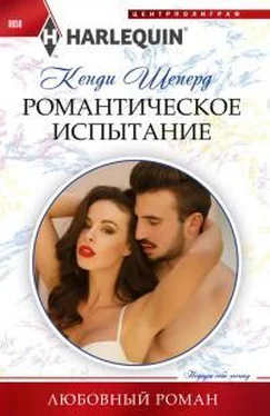 Кенди Шеперд Романтическое испытание обложка книги