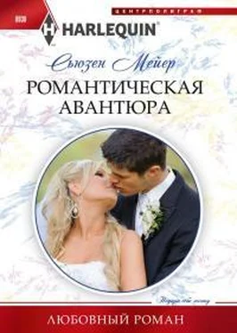 Сьюзен Мейер Романтическая авантюра обложка книги