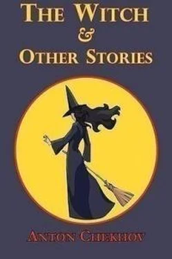 Антон Чехов The Witch and Other Stories обложка книги