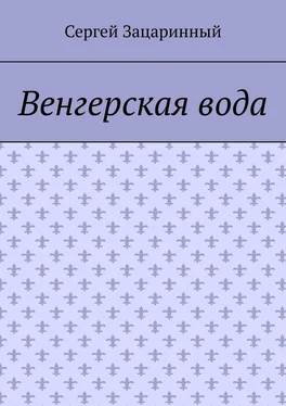 Сергей Зацаринный Венгерская вода обложка книги