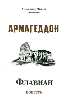 Александр Торик Флавиан. Армагеддон обложка книги