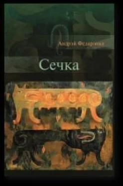 Андрей Федоренко Сечка. Літаратурныя эсэ обложка книги