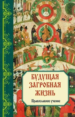 Владимир Зоберн Будущая загробная жизнь: Правoславнoе учениe обложка книги