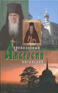 Схиархимандрит Агапит Беловидов Преподобный Амвросий Оптинский обложка книги
