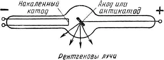 Трубка РентгенаКулиджа Несколько лет спустя в 1916 году растение дало - фото 11