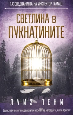 Луиза Пенни Светлина в пукнатините обложка книги