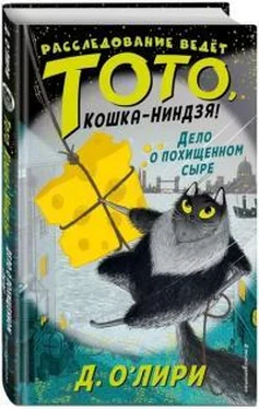 Дэрмот О’Лири Дело о похищенном сыре обложка книги