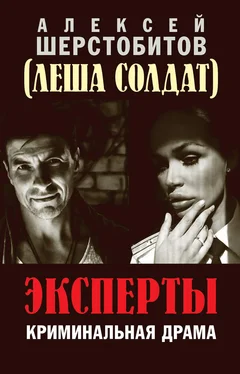 Алексей Шерстобитов Эксперты обложка книги