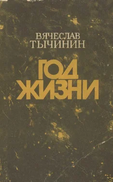 Вячеслав Тычинин Год жизни обложка книги