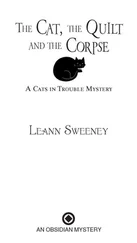 The Quilt - Leann Sweeney