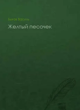 Василь Быков Желтый песочек обложка книги