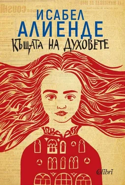 Исабель Альенде Къщата на духовете обложка книги