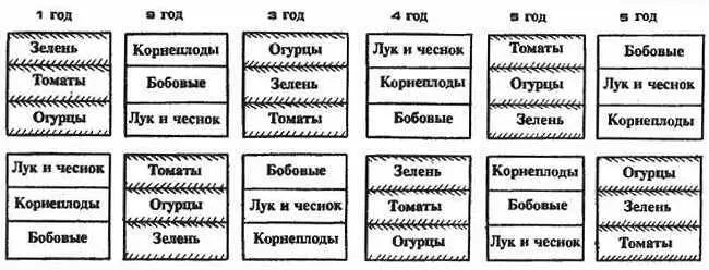 Рис 4 Шестипольный севооборот гряды в которые надо вносить навоз или - фото 5