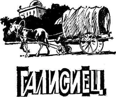 MIGUEL BARNET GALLEGO 1983 Перевод Э БРАГИНСКОЙ Мануэль Руис это и - фото 6