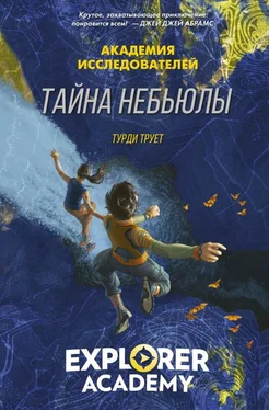 Труди Трует Тайна «Небьюлы» обложка книги