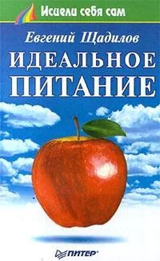 Евгений Щадилов Идеальное питание обложка книги