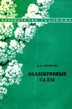 Валентина Котлярова Коллективные сады обложка книги
