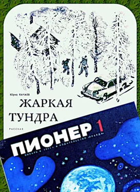 Юрий Качаев Жаркая тундра обложка книги