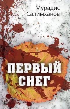 Мурадис Салимханов Первый снег обложка книги