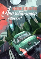 Михаил Савеличев - Анизотропное шоссе. Путеводитель по дорогам, которые выбирают