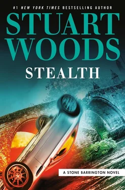 Стюарт Вудс Stealth обложка книги