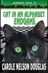Кэрол Дуглас - Cat In An Alphabet Endgame