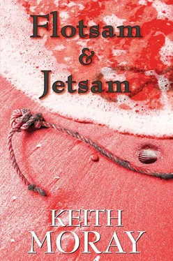 Кит Мори Flotsam and Jetsam обложка книги