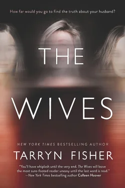 Таррин Фишер The Wives обложка книги