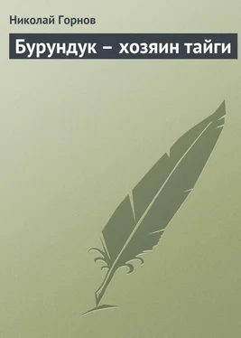 Николай Горнов Бурундук – хозяин тайги обложка книги