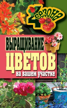 Наталия Калинина Выращивание цветов на вашем участке обложка книги