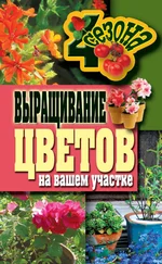 Наталия Калинина - Выращивание цветов на вашем участке