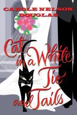 Кэрол Дуглас Cat In A White Tie And Tails обложка книги