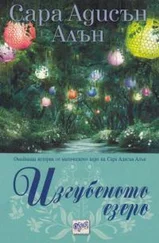 Сара Аллен - Изгубеното езеро