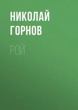 Николай Горнов Рой обложка книги