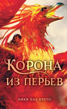 Ники Пау Прето Корона из перьев [litres] обложка книги