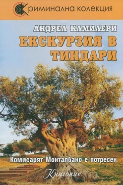 Андреа Камиллери Екскурзия в Тиндари обложка книги