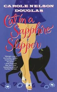 Кэрол Дуглас Cat In A Sapphire Slipper обложка книги