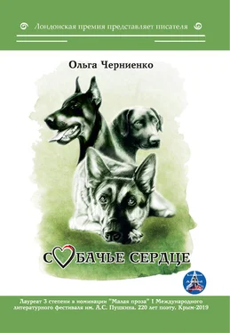 Ольга Черниенко Собачье сердце обложка книги
