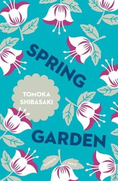 Tomoka Shibasaki Spring Garden обложка книги